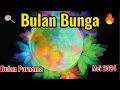 Bulan Bunga,Bulan Purnama Mei 2024: #viral  Fenomena Langit yang Memukau!