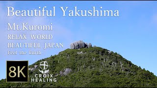 【Beautiful Yakushima / 8K Mt.Kuromi】Feel the Earth / 屋久島 / 黒味岳