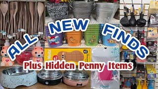 DOLLAR TREE* ALL NEW FINDS| NEW PENNY ITEMS! 1-15-26