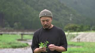 13　神田 風太　ジビエ料理　Gibier MIYAMA（京都府）　32歳（応募締切時）