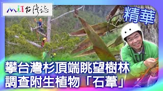 攀台灣杉頂端眺望樹林　調查附生植物「石葦」｜新竹縣尖石鄉 麥覺明【@ctvmit720集】