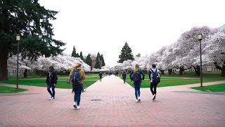Why You Should Go to the University of Washington