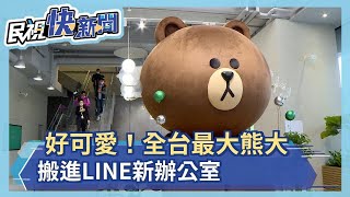 開箱台灣LINE總部！全台最大熊大進「住」新辦公室 100%MIT－民視新聞