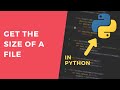 Get File Size - 1 Minute Python Tutorial #shorts