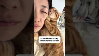 The Cutest Attention Seeker Ever