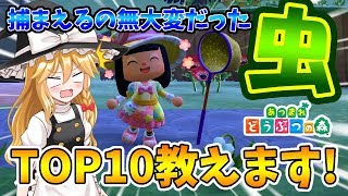 【あつ森】金のあみGET！捕まえるの大変だった虫TOP10教えます！島民代表(笑)のあつまれどうぶつの森＃13【ゆっくり実況】