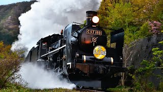 蒸気機関車2021年冬～初夏 Steam Locomotive2021 Winter to early Summer