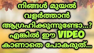 ചെറുതാണെങ്കിലും ഇത് ഒരു വലിയ കാര്യം തന്നെ ആണ്....