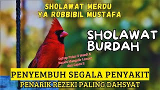 SHOLAWAT NABI PEMBUKA REZEKI, SHOLAWAT NABI PENYEJUK HATI, SHOLAWAT BURDAH MERDU TERBAIK