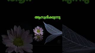 good night #മലയാളം #ശുഭരാത്രി