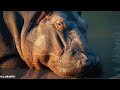 LIVE at the waterhole - 14 September 2025