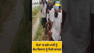 #Shorts : ਖੇਤਾਂ 'ਚ ਭਰੇ ਪਾਣੀ ਨੂੰ ਦੇਖ ਰੁਕੇ Sukhbir Badal, ਕਿਸਾਨਾਂ ਦੀਆਂ ਸੁਣੀਆਂ ਦਿੱਕਤਾਂ || Punjab Tak