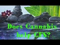 Does Cannabis help CFS/ME?