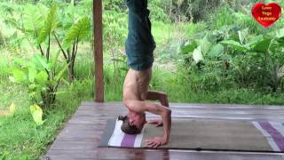 Ashtanga Intermediate Series Headstands