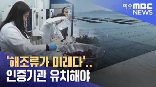 '해조류가 미래다'..인증기관 유치해야 -R(240423화/뉴스투데이)