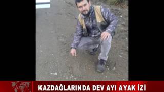 KAZDAĞLARINDA DEV AYI AYAK İZİ