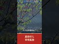 孤独并不可怕，独处中另有大千 @晨起东华 孤独 佛学智慧 修行 人生感悟