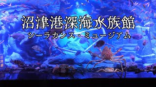 [4K] 沼津港深海水族館「シーラカンス・ミュージアム」