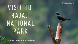 Bird Photography At Rajaji National Park | ArtisiansDock