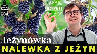 Nalewka z jeżyn smaczna i oryginalna. Wiesz, że ma działanie przeciwnowotworowe?