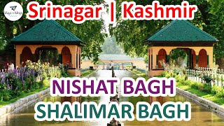 KASHMIR | NISHAT BAGH | SHALIMAR BAGH | Beautiful Mughal Gardens in Srinagar, Jammu and Kashmir