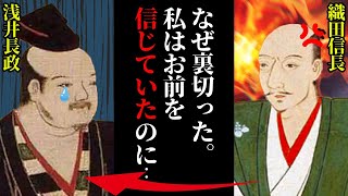 浅井長政、織田信長を裏切らなければ天下統一もあった？【ゆっくり歴史解説】