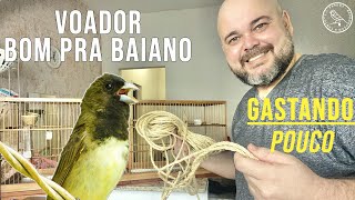 GASTANDO R$27 MONTEI ESSE VOADOR PRO BAIANO CANTAR MAIS