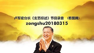 zongshu20180315 卢军宏台长《玄艺综述》节目录音  (看图腾)