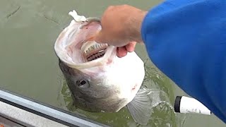 I Caught The WRONG Dang Fish!!!