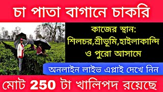 চা বাগানে চাকরি | পুরুষ মহিলা পারবেন | Assam  job vacancy 2025