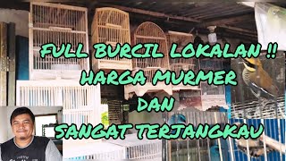 Full Burcil Lokalan  Harga Murmer Dan Sangat Terjangkau