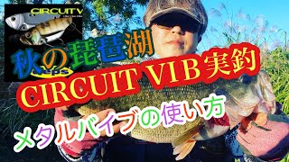 秋の琵琶湖　CIRCUIT VIB実釣  メタルバイブの使い方