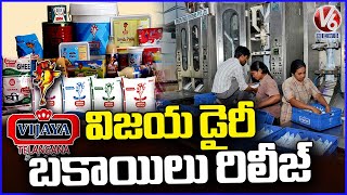 Vijaya Dairy Release Daily Farmers Pending Bills | V6 News