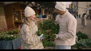 Experience the Warmth of the Holidays in Holland, MI
