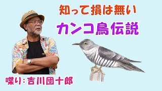 カンコ鳥伝説　知って得する話　【喋り】吉川団十郎