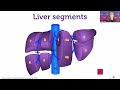 how to scan the liver 10 october 2023