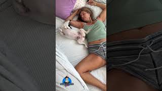 Weird how dogs can look and act like their humans. #themaryburke #maryburke #askmaryburke