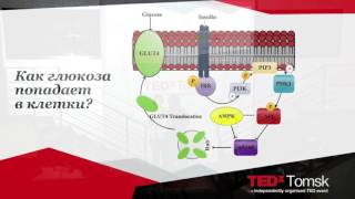 Biochemistry of obesity | Anastasia Zima | TEDxTomsk