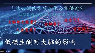 视频45：低碳生酮饮食对大脑的影响 ？！