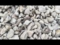 Mind Relaxing Stone Walking Sound (Satisfying Footsteps)
