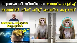 Monkey with AI chip inside head plays video game | Neuralink monkey