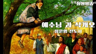 [찬양] 예수님 과 삭개오(보고싶어 * 2 ) / 정은영 전도사 - 화평방송