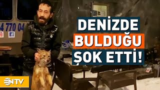 Balık Yakalamak İçin Açıldı Denizden Öyle Bir Şey Çıktı Ki Gözlerine İnanamadı! | NTV