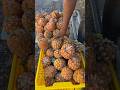 Pineapple Farming In Jamaica