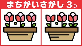 【間違い探しクイズ】全部正解で脳年齢を若くしよう！大人の脳トレ無料動画【5問+おまけ】