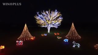 にいがた空撮 冬紀行 国営越後丘陵公園ウインター・イルミネーション