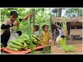 Bun and Bin Helped Me Take Care of the Chickens and We Harvested Fresh Sponge Gourds Together