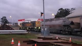 Tasrail cement train