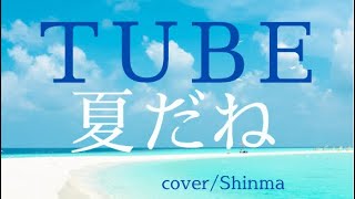 TUBE「夏だね」cover by Shinma.