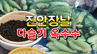 진안장날 전통시장/여름배추/열무/옥수수/다슬기/애호박/호박잎/고구마줄기